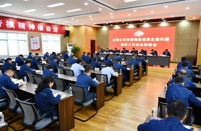 公司党委召开推动梭巡反应题目整改任务带动安排会