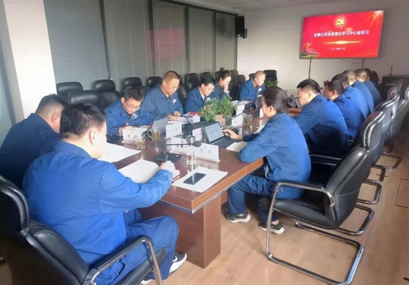 公司党委实际进修中间组展开全国两会精力专题进修