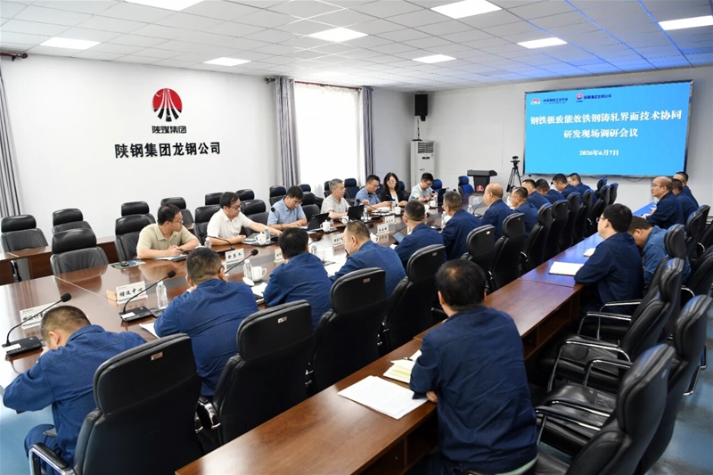 中国钢铁财产协会到公司展开钢铁极致能效铁钢铸轧界面手艺协同调研